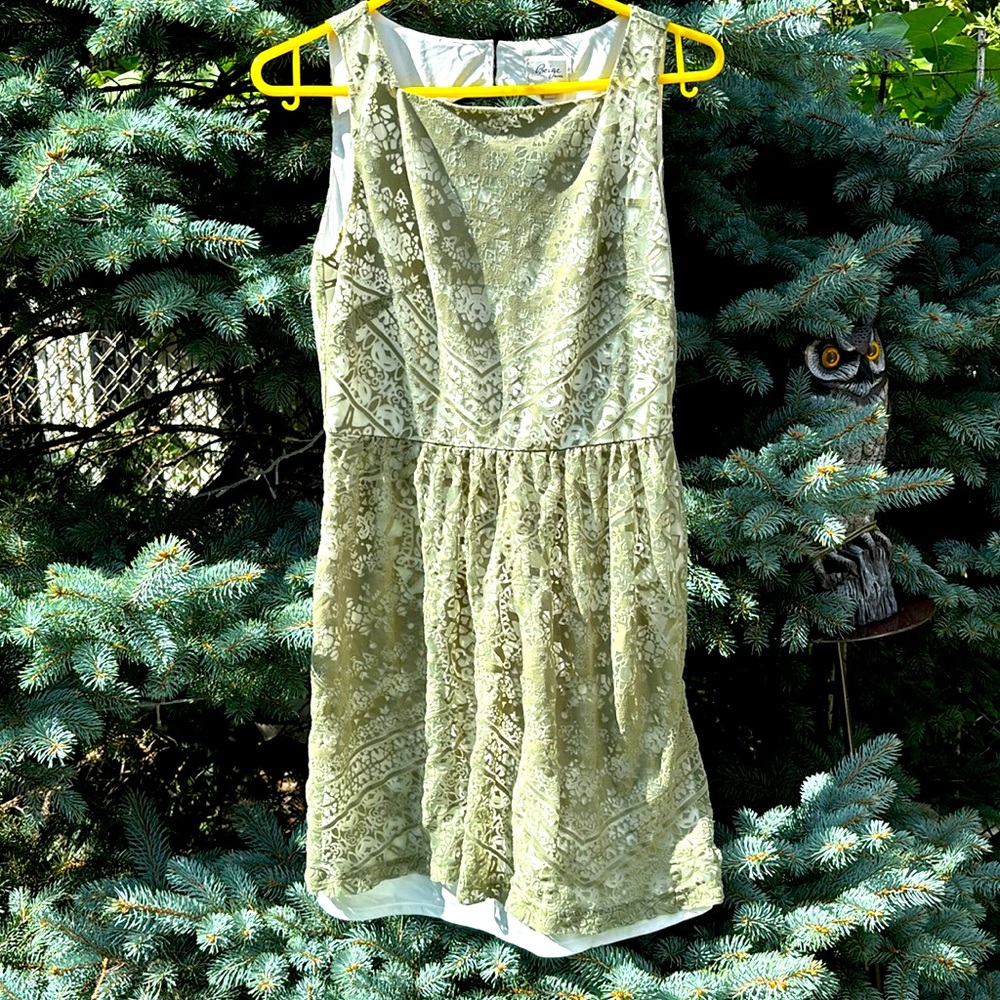Beige by Eci dress